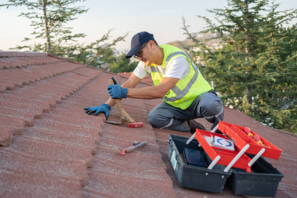 Best Flat Roof Repair Services  in Sebree, KY