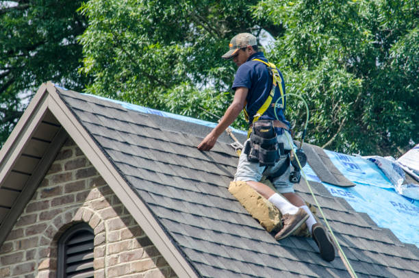 Professional Roofing Contractor in Sebree, KY